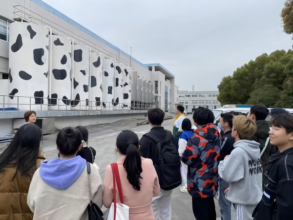 雷竞技raybet官网版下载