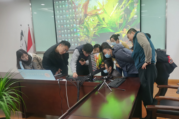 雷竞技raybet官网版下载
